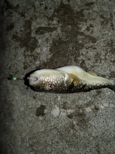 明けましておめでとうございます