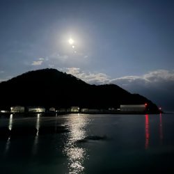 初の長崎カワハギは激シブでした