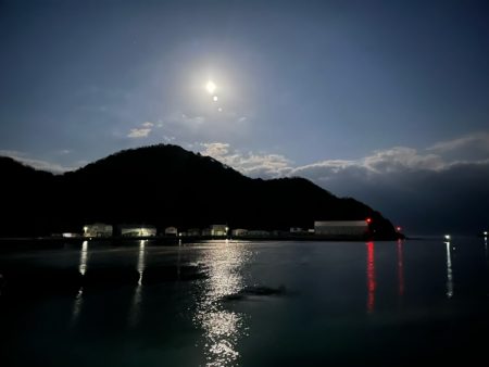 初の長崎カワハギは激シブでした