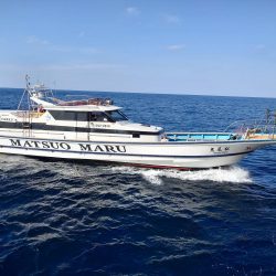 やっと行けた隠岐の島