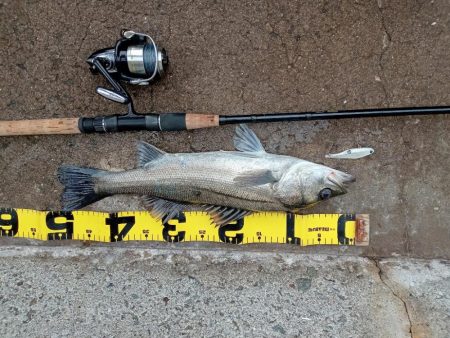 早朝のプチsalt water game😉