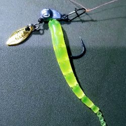 明姫より集いし林崎の夜！