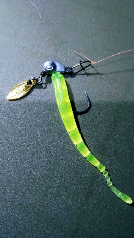 明姫より集いし林崎の夜！