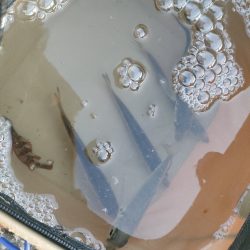 アジュール舞子でサビキとノマセ