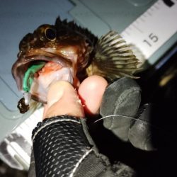 なんちゃってワーム