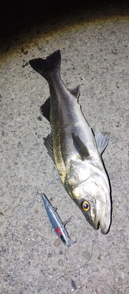 癒やしのアカハタからの一撃