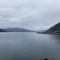 久しぶりのマルチヒット