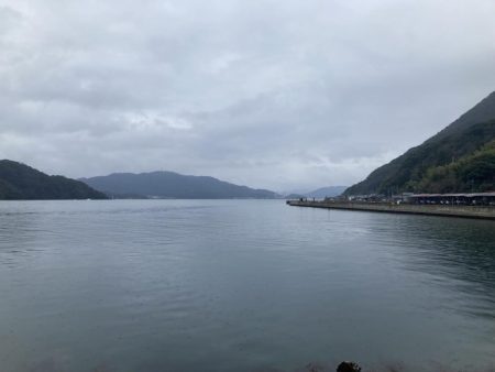 久しぶりのマルチヒット