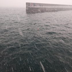 積丹の漁港でホッケ上がる!!道内ホッケが本格化!?