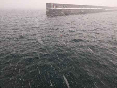 積丹の漁港でホッケ上がる!!道内ホッケが本格化!?