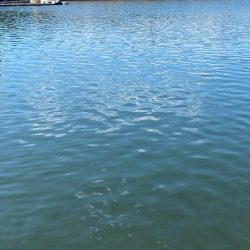 アーバンクローラー無双の日