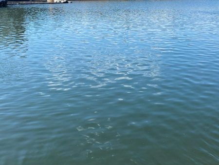 アーバンクローラー無双の日