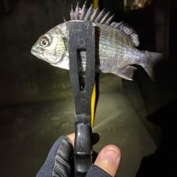 短時間、深夜ライトゲーム