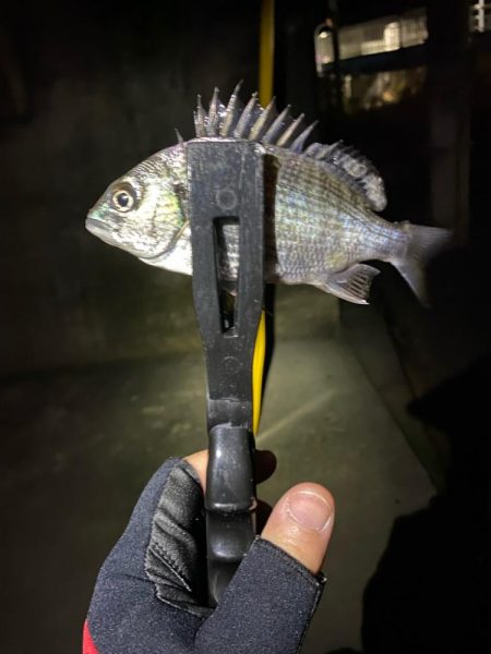 短時間、深夜ライトゲーム