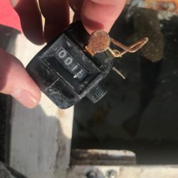 淡路室津のカットウ釣り