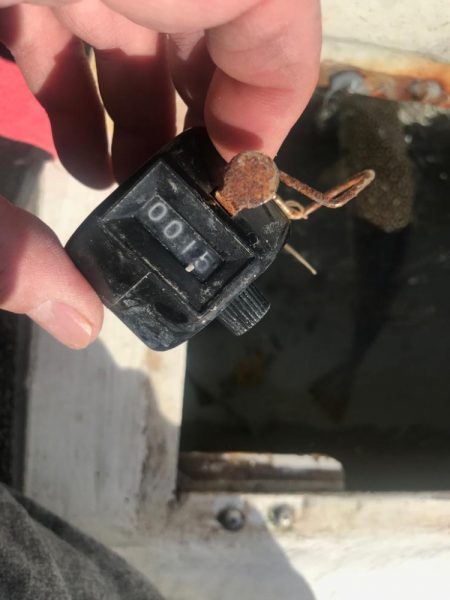 淡路室津のカットウ釣り