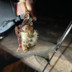 原点にして頂点。