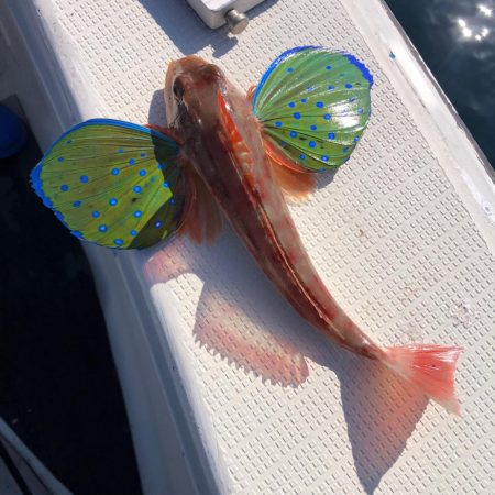 2024初釣行の結果は…