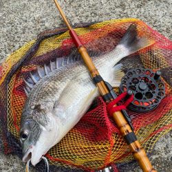 ヘチってきました