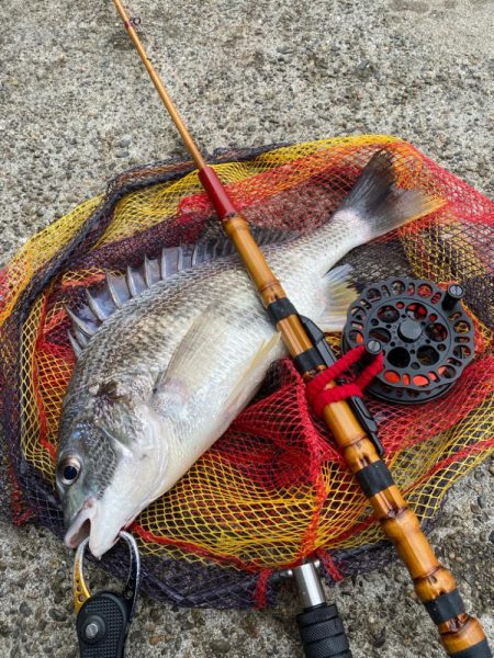 ヘチってきました