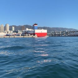 初めてのバチコンアジング