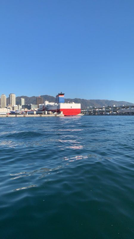 初めてのバチコンアジング