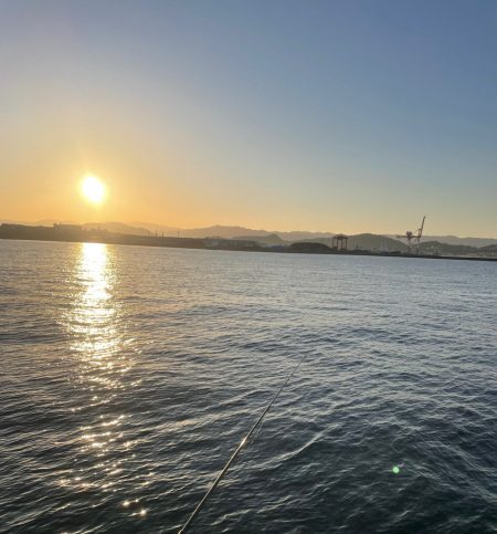 和歌山デカ鯵狙い