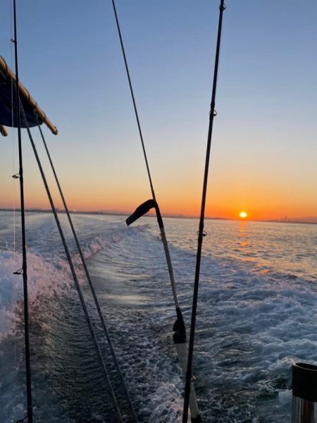 明石海峡デカ鯵×デカ鯖狙い