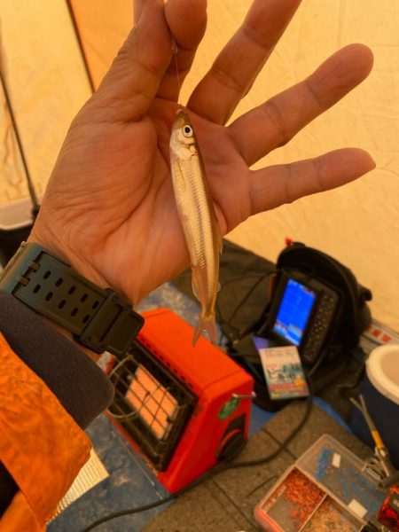 ワカサギ釣り　信濃雪鱒釣り