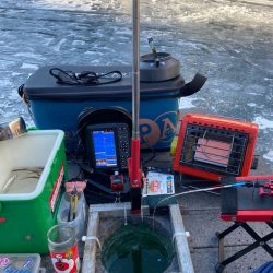 ワカサギ、シナノユキマス釣り