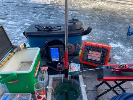 ワカサギ、シナノユキマス釣り