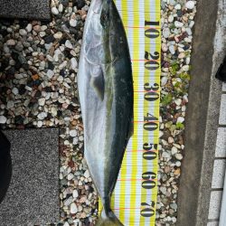 初ショアジギング