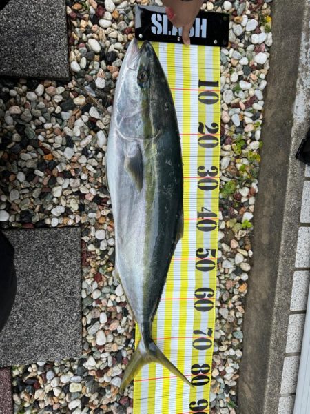 初ショアジギング