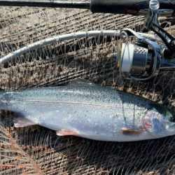 大寒波に海上釣堀!