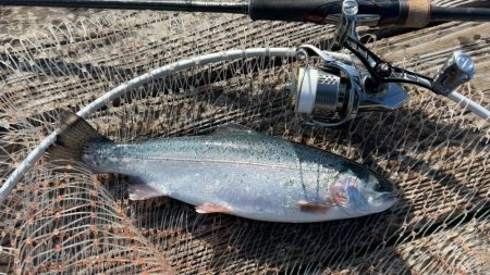 大寒波に海上釣堀!