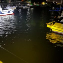 淡路島アジング