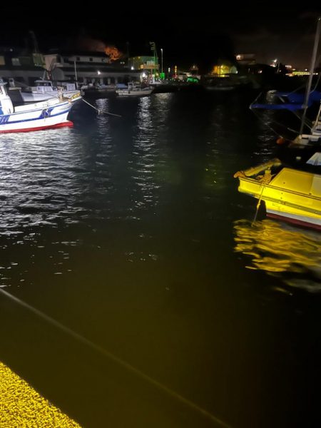 淡路島アジング