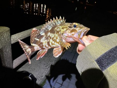 ボトムパンプのみ😗