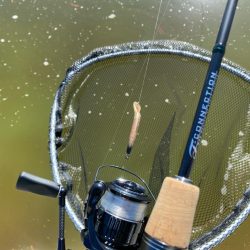 2時間かめプーで釣り&#x1f3a3;