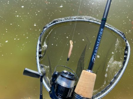 2時間かめプーで釣り&#x1f3a3;