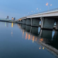 風が強くなる前に