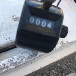 室津のカットウフグ