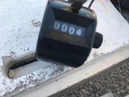 室津のカットウフグ