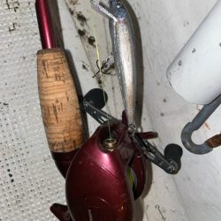 初釣りボートシーバス