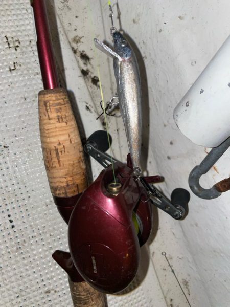 初釣りボートシーバス