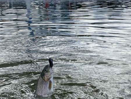 大会前のプラクティス