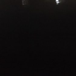 釣り始めはガシラから