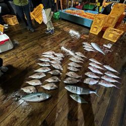 あなたに逢い鯛釣り堀　ナイター貸切