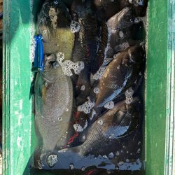 2024年初釣り釣行