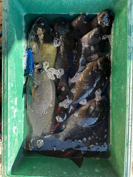 2024年初釣り釣行